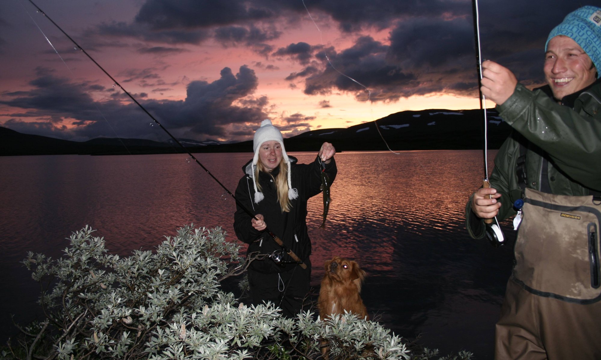 Fiske Sight fishing i Årefjällen. Se och fånga riktigt stora öringar.